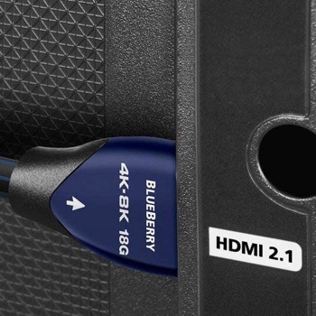 Audioquest BlueBerry 2