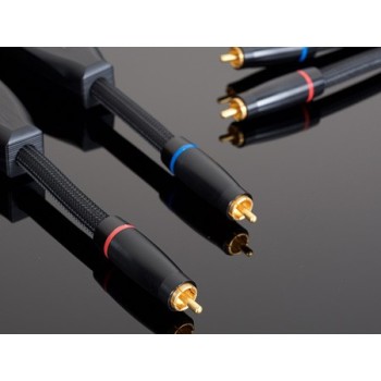 Transparent  Reference RCA Phono Gen 6 2