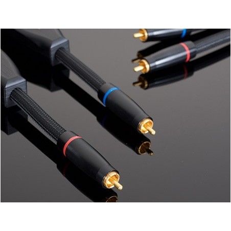 Transparent  Reference RCA Phono Gen 6