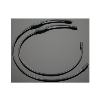 Transparent  Plus RCA Phono Gen 6 2