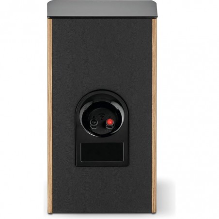 Focal Aria Evo X N°1