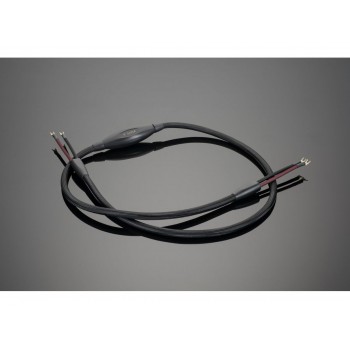 Transparent Audio SUPER SSC  Gen 6