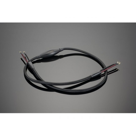 Transparent Audio SUPER SSC  Gen 6