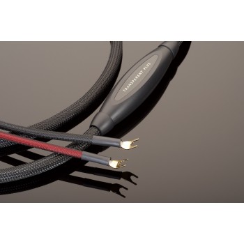 Transparent Audio PLUS PSC Gen 6 2