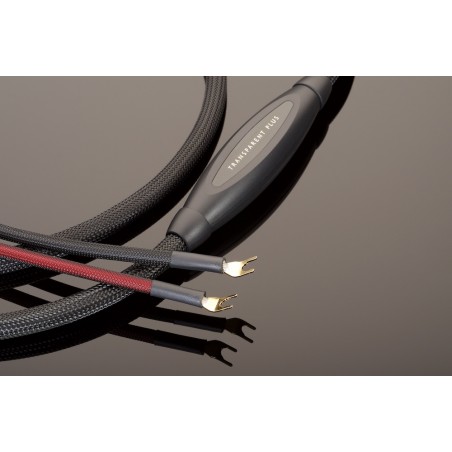 Transparent Audio PLUS PSC Gen 6