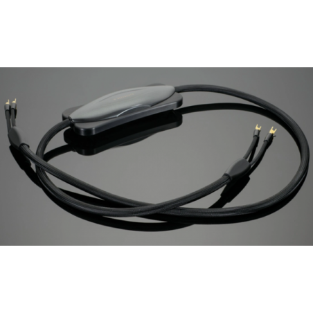 Transparent  Audio Reference RSC Gen6