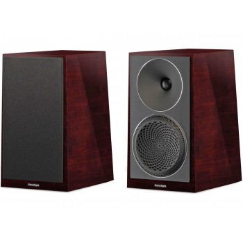 Paradigm Founder 40B