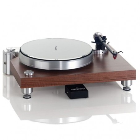 Acoustic Solid Clasic  Wood