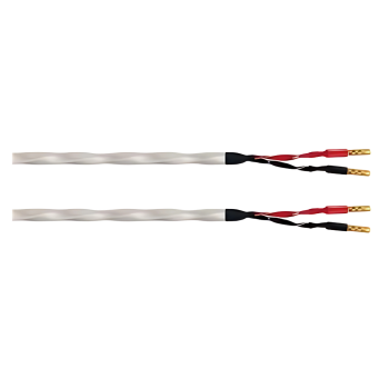 Wireworld Solstice 10