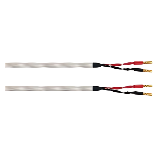 Wireworld Solstice 10