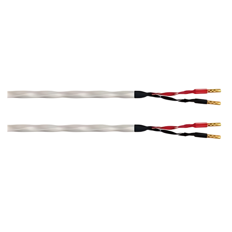 Wireworld Solstice 10