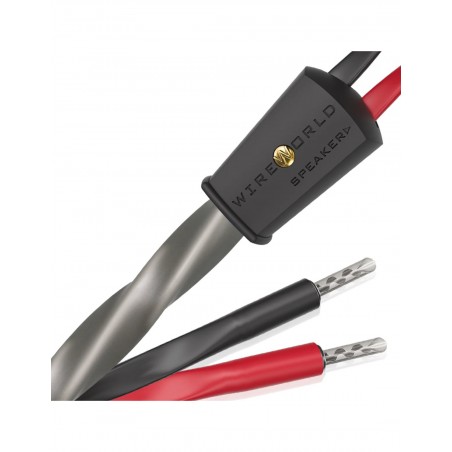 WireWorld Equinox 10