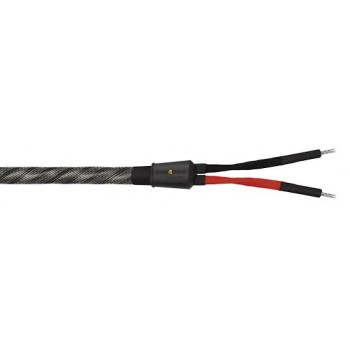 WireWorld Silver  Eclipse 10