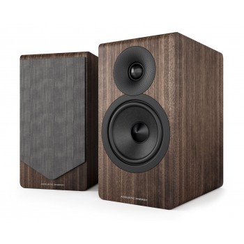 Acoustic Energy AE300