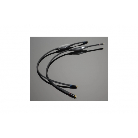 Transparent Audio XL-XLSE Gen 6