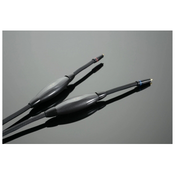 Transparent Audio XL-XLSE Gen 6 2