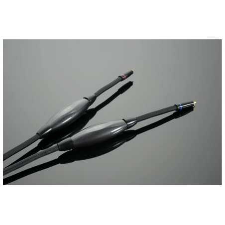 Transparent Audio XL-XLSE Gen 6