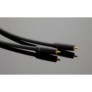 Transparent Audio PLUS PSE  Gen 6 2