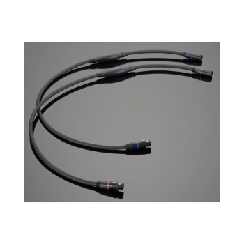 Transparent Audio Balanced Super SBL Gen 6