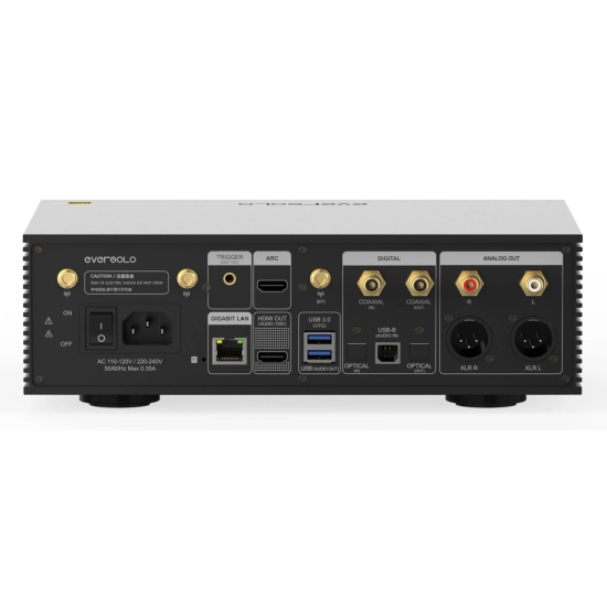 EVERSOLO DPM-A10