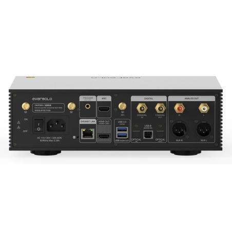 EVERSOLO DPM-A10