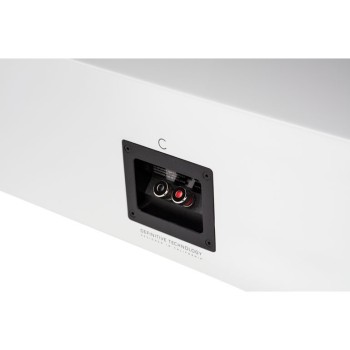 Definitive Technology D5c 2