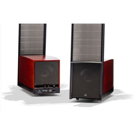 Martin - Logan Expression   ESL 13A